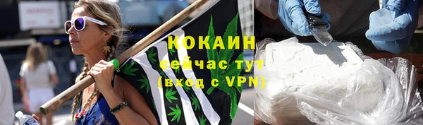 дурь Дмитриев