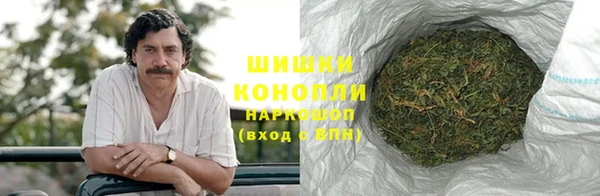 дурь Дмитриев
