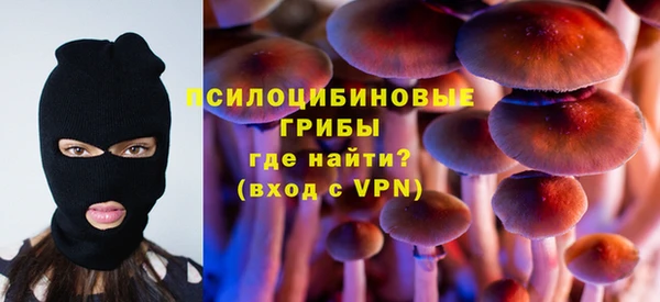 эйфоретик Дмитровск