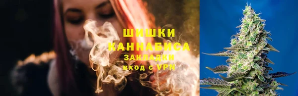 шишки Слюдянка
