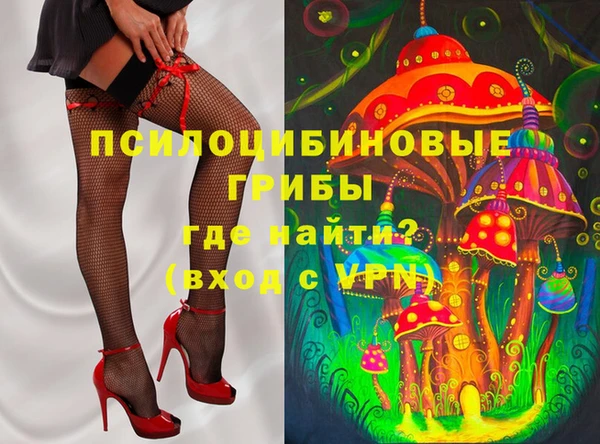 дурь Дмитриев
