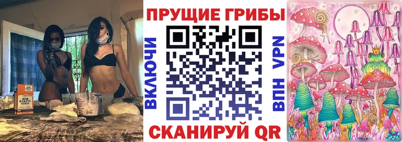 KRAKEN маркетплейс  даркнет сайт  Светлогорск  Галлюциногенные грибы Cubensis 