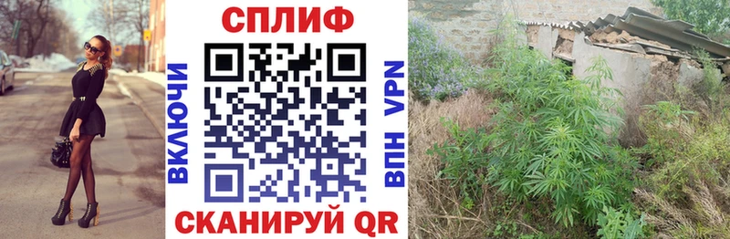 МАРИХУАНА MAZAR  Светлогорск 